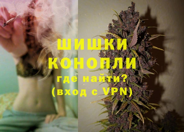 сатива Заволжье